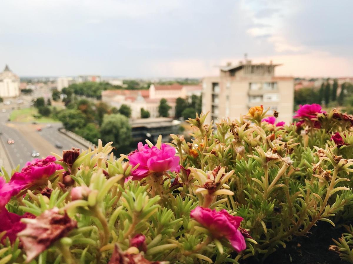 Over The City Oradea Exterior photo